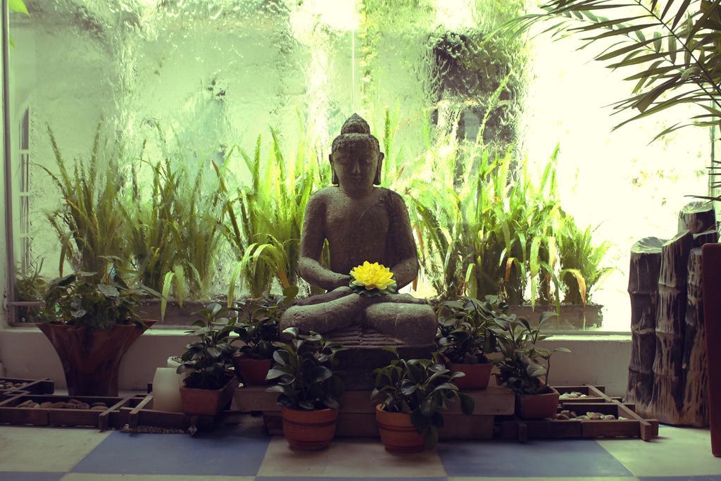 Badillo Zen Hotel Cartagena 外观 照片